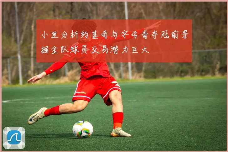 小里分析约基奇与字母哥夺冠前景掘金队球员交易潜力巨大